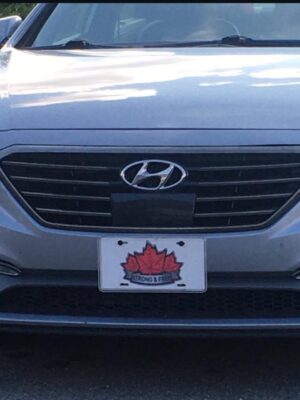 car-bumper car-bumper